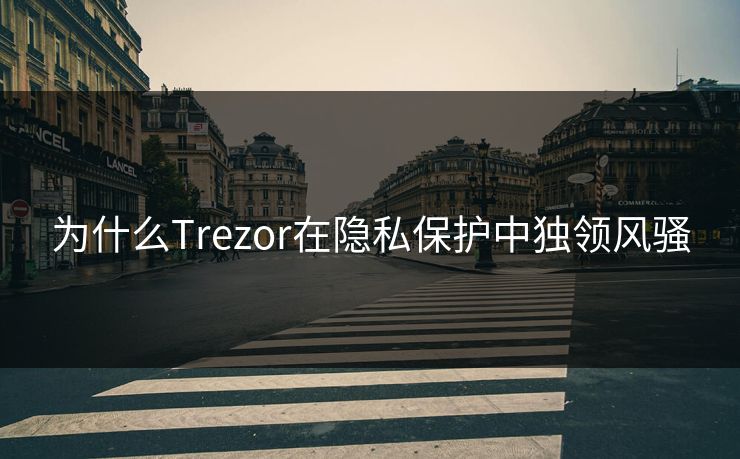 为什么Trezor在隐私保护中独领风骚