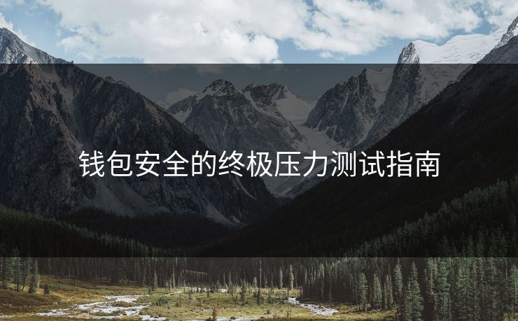 钱包安全的终极压力测试指南